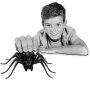 Игрушка детская Wild Pets Spider Habitat Логово паука и его обитатель
